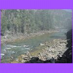 Along The Stream.jpg